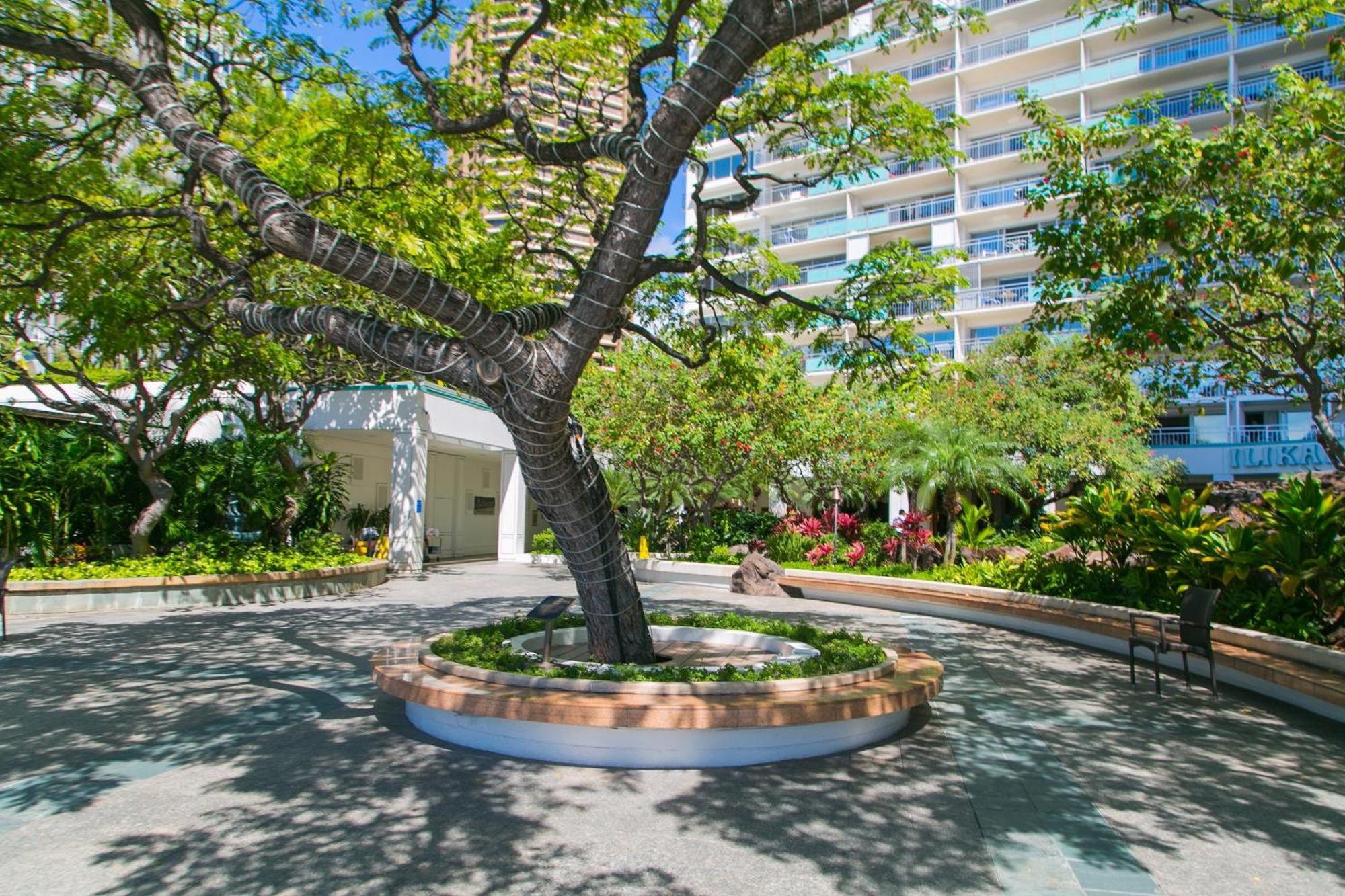 Appartement Ilikai Tower 931 Yacht Harbor View 1Br à Honolulu Extérieur photo